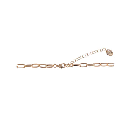 Time and Tru Women's Metal and Tort Resin Oval Link Goldtone Necklace